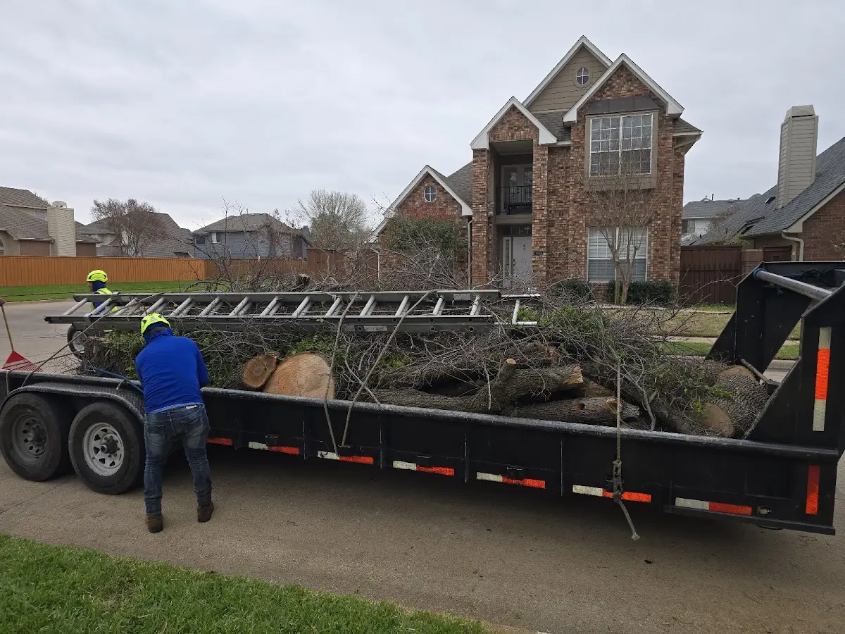 Expert Lot Clearing with proper safety equipment in Leadville